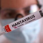 Ҳантавирус хавфи Ўзбекистонга етиб келдими?