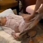 Қабримга куёвим қўйсин!..