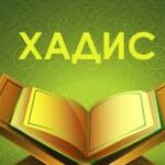Жуда ажойиб. Бор экан!..
