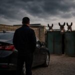 Қашқадарёлик эшак гўшти савдогари: у уч ойда икки бор судланди