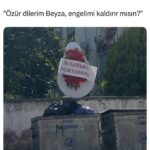 Чиқинди қутисига ташлаб кетилган гул ва рад этилган севги изҳори ижтимоий тармоқларда шов-шув бўлди