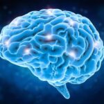 Ҳеч нарса қилмаслик мия учун фойдали – тадқиқот