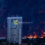 Wildberries омборлари Россия армияси таъминотида иштирок этаётган логистика марказларидир