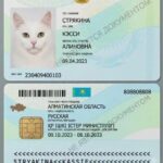 Қозоғистонда мушукларга ҳам рақамли паспорт берила бошланди