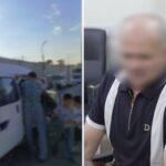 Тошкентда 25 болани Damas’да ташиган ҳужжатсиз “шоввоз” ушланди