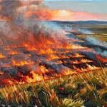 Мўғулистондаги ёнғин Хитой чегарасига яқинлашди